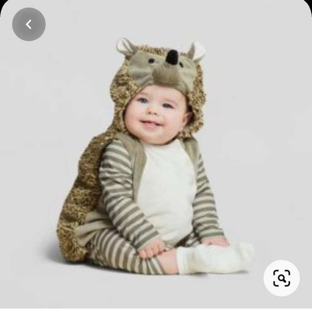 Target Baby Hedgehog costume 0-6 months